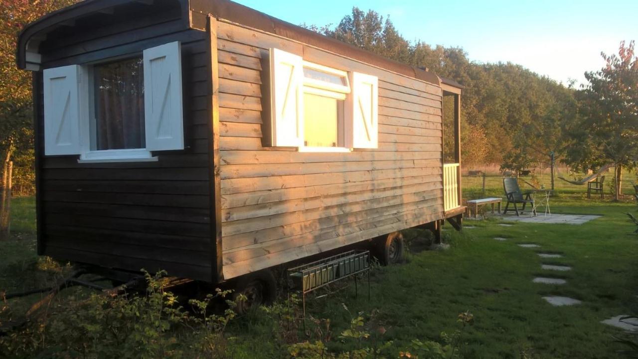 Pipowagen Elsebein Groningen Westerwolde Unieke Ligging Met Eigen Tuin En Vrij Uitzicht Over Veld Naar Natuurgebied Onstwedde エクステリア 写真