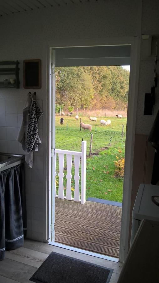 Pipowagen Elsebein Groningen Westerwolde Unieke Ligging Met Eigen Tuin En Vrij Uitzicht Over Veld Naar Natuurgebied Onstwedde エクステリア 写真