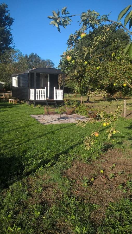 Pipowagen Elsebein Groningen Westerwolde Unieke Ligging Met Eigen Tuin En Vrij Uitzicht Over Veld Naar Natuurgebied Onstwedde エクステリア 写真