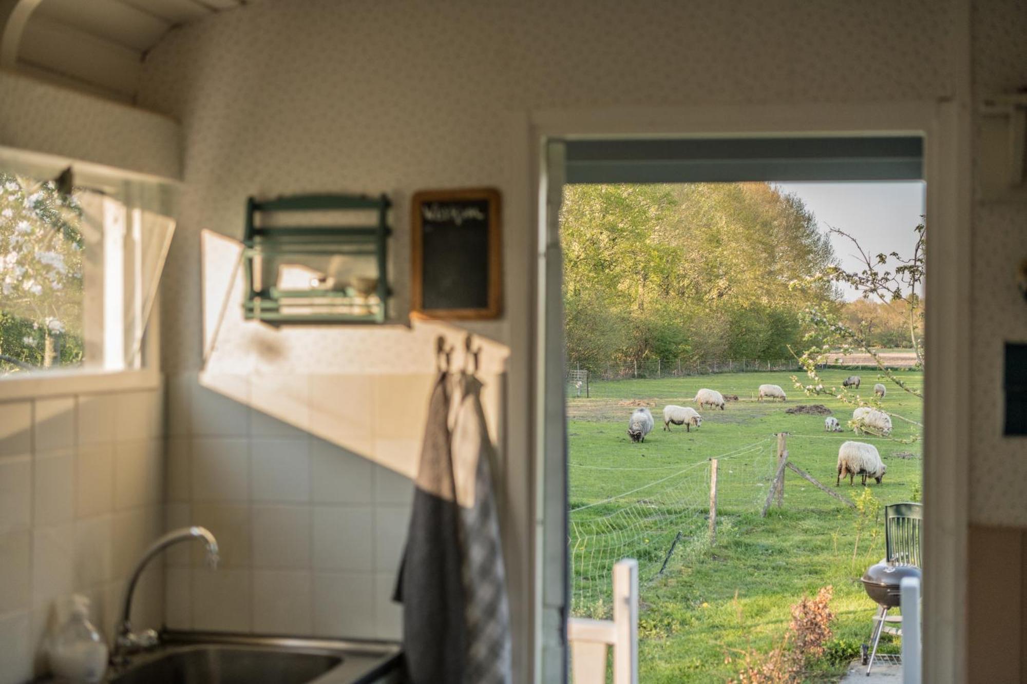 Pipowagen Elsebein Groningen Westerwolde Unieke Ligging Met Eigen Tuin En Vrij Uitzicht Over Veld Naar Natuurgebied Onstwedde エクステリア 写真