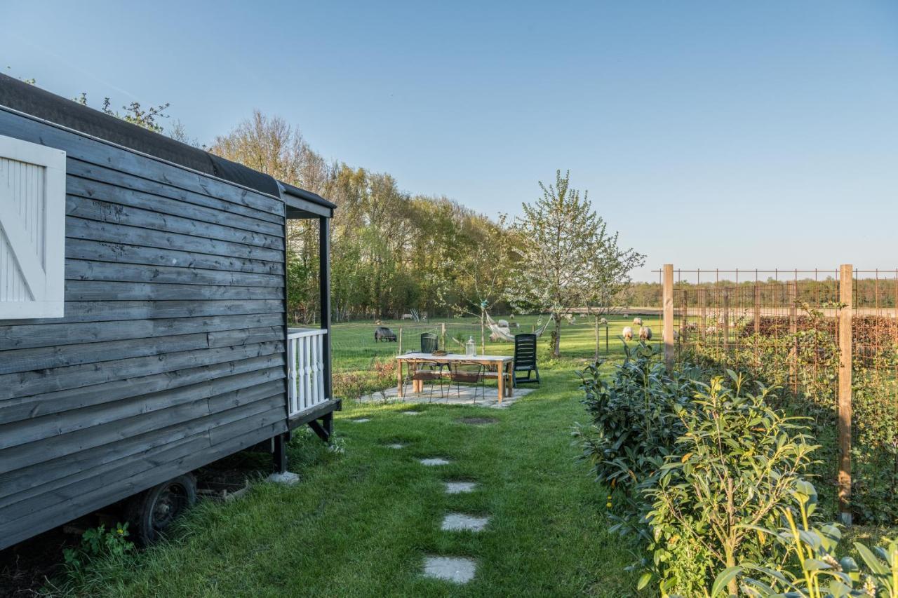Pipowagen Elsebein Groningen Westerwolde Unieke Ligging Met Eigen Tuin En Vrij Uitzicht Over Veld Naar Natuurgebied Onstwedde エクステリア 写真