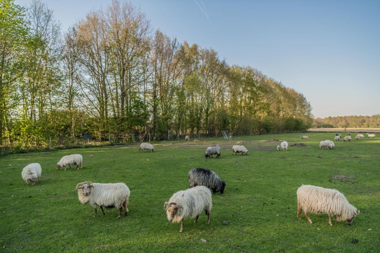 Pipowagen Elsebein Groningen Westerwolde Unieke Ligging Met Eigen Tuin En Vrij Uitzicht Over Veld Naar Natuurgebied Onstwedde エクステリア 写真